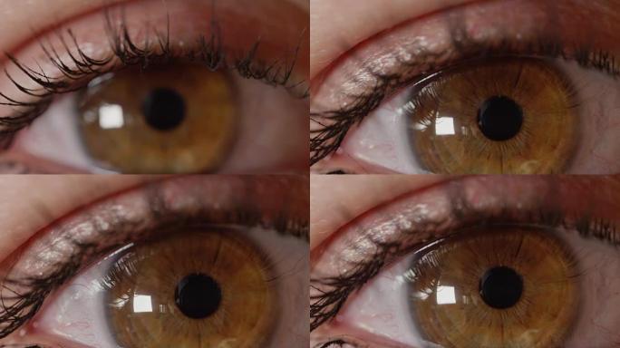 MACRO dop: 睫毛膏戴着漂亮琥珀色眼睛的女孩凝视着不眨眼。
