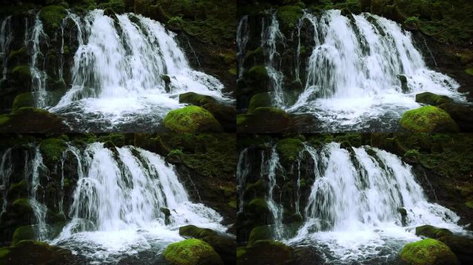 绿色森林中的溪流