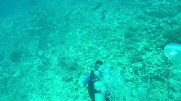 水下: 从女人在太平洋水域潜水的上方看珊瑚礁