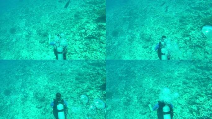 水下: 从女人在太平洋水域潜水的上方看珊瑚礁