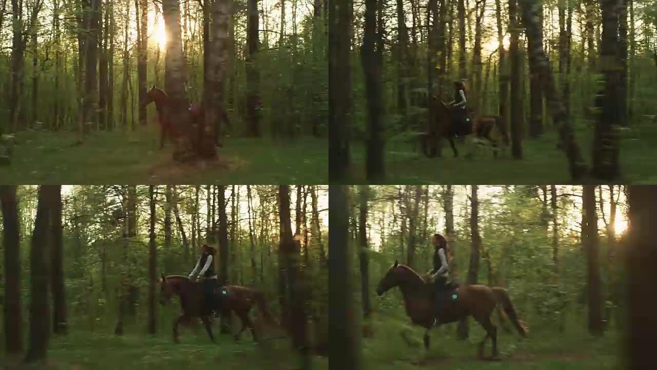 年轻女孩在森林里骑马
