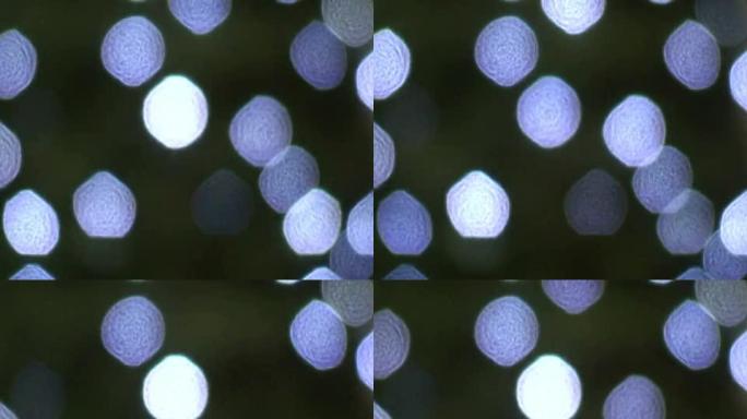 闪烁的圣诞灯，模糊