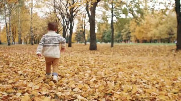 快乐有趣可爱的小男孩跑着落叶穿过公园里神奇的秋天小巷慢动作