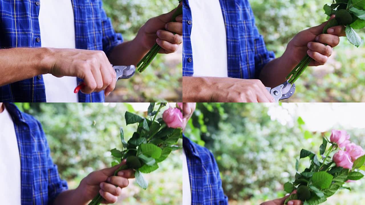 男人在花园里剪花茎