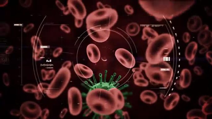 数字生成的病毒细胞和红血球在黑色背景