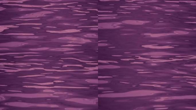 紫色水池水面