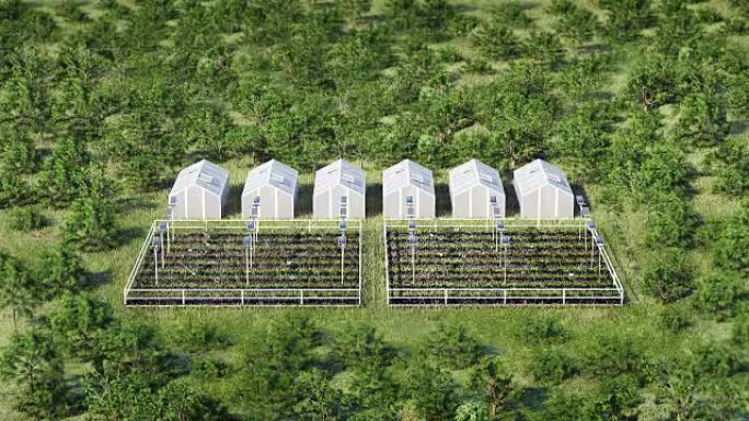 智能农业，智能农场，传感器连接乙烯基房屋，温室。绿色领域的物联网。第四次工业革命。