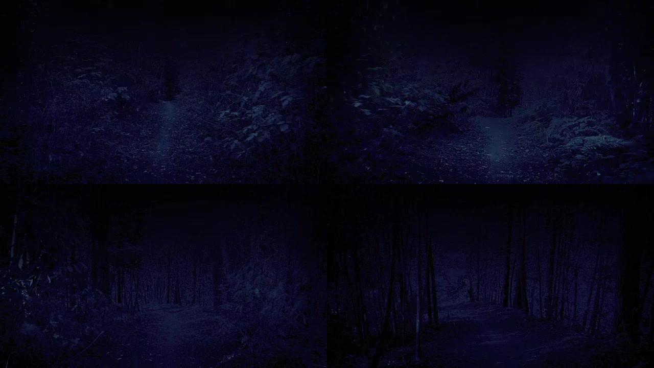 可怕的视点在晚上穿过树林