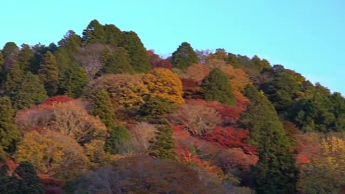 淘金拍摄korankei森林公园与秋红离开名古屋日本