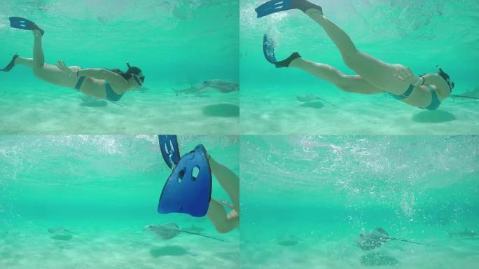 慢动作: 年轻女子与黄貂鱼和鲨鱼一起在水下浮潜