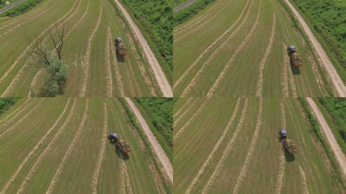 空中: 农民用拖拉机拖车捡起晒干的草