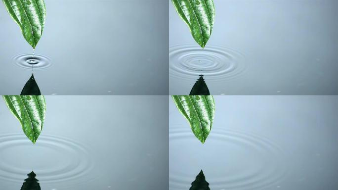 水从绿叶流进水池