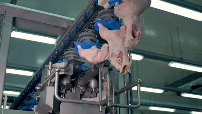 一种工作中切鸡胸肉的机械设备。