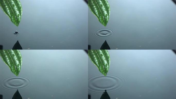 水滴从绿叶落入水池