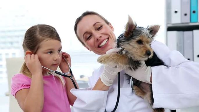 小女孩看着兽医检查她的约克夏犬