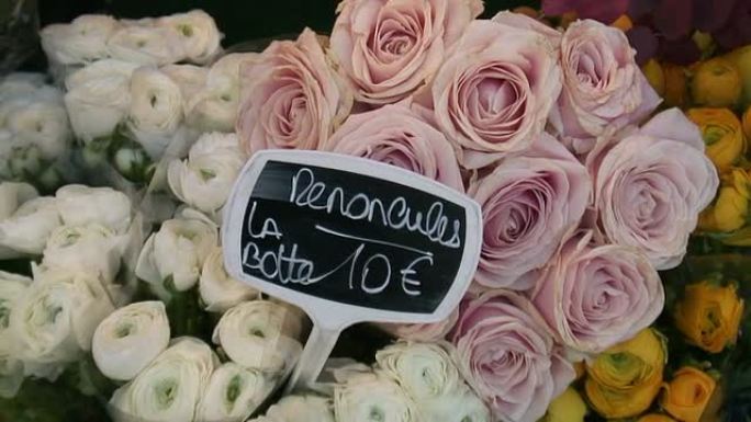 （HD1080i）货币：玫瑰以欧元计价