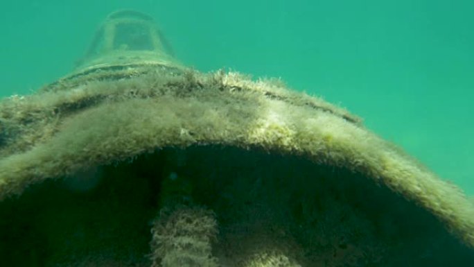 水下: 战斗机的旧废墟为鱼类提供了人工栖息地。