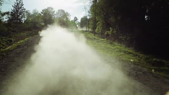 森林中尘土飞扬的道路