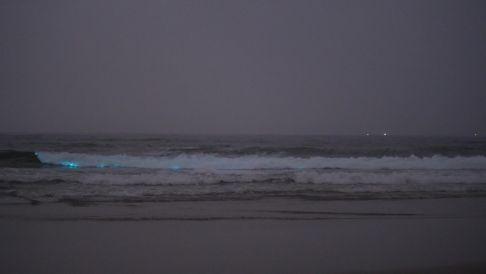 阳江海陵岛蓝眼泪荧光海