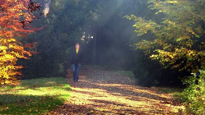 一个年轻人独自在公园里漫步