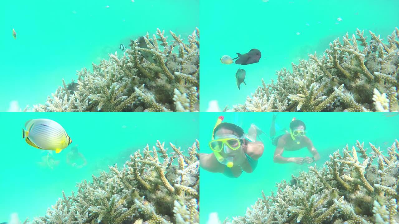 水下: 几个潜水员在印度洋的礁石中浮潜