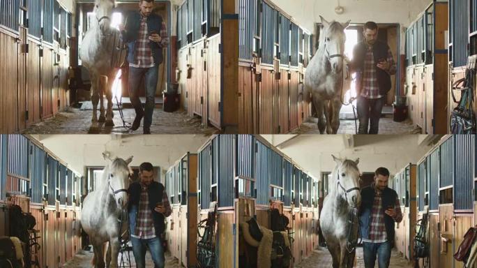男子在使用手机时在马厩里走着一匹白马。