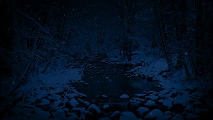 晚上在白雪皑皑的林地里的河流