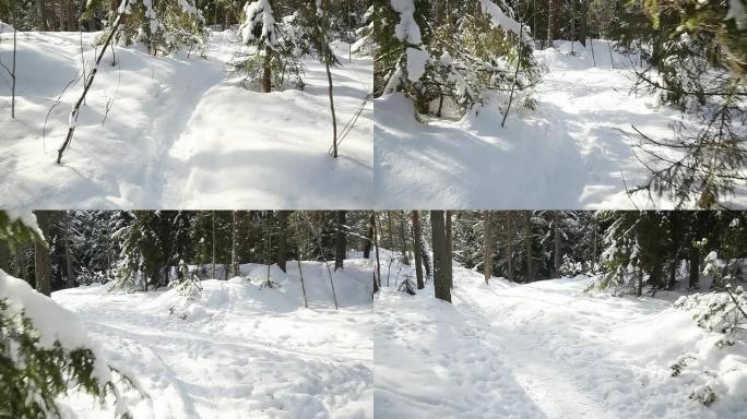 冬季场景雪林雪景冰天雪地