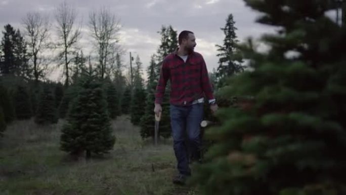 多民族家庭将圣诞树从树场中带走