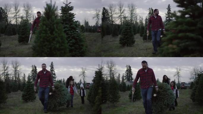 多民族家庭将圣诞树从树场中带走