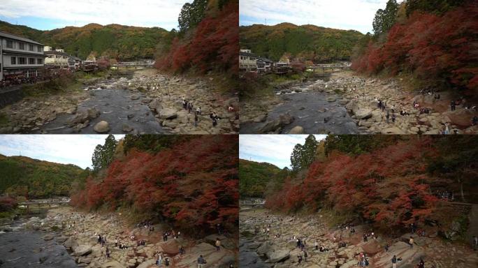 平移镜头: 带有秋红的korankei森林公园离开日本名古屋