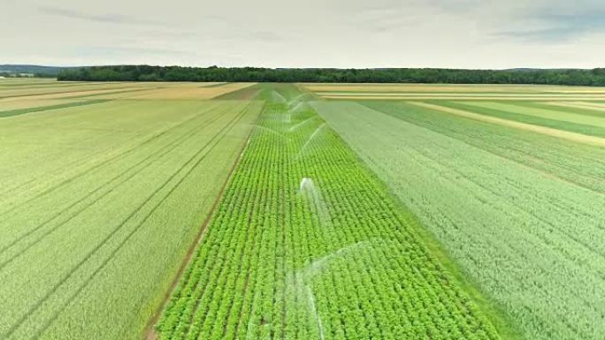 空中农业洒水装置浇灌绿色植物