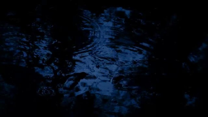 黑暗中森林游泳池上的雨滴