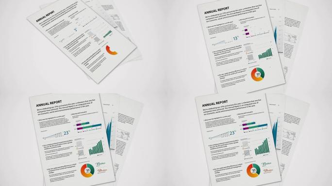 商业公司年度报告