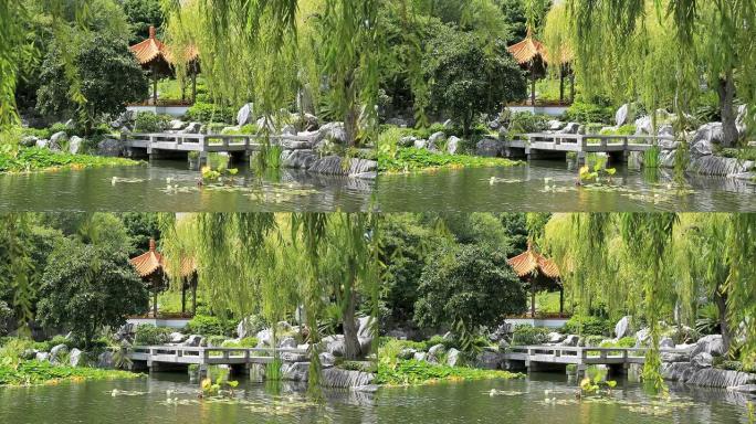 澳大利亚悉尼户外自然花园