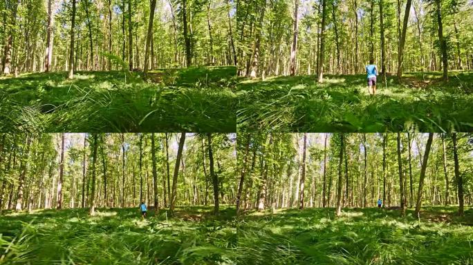SLO MO Man穿过覆盖着蕨类植物的森林