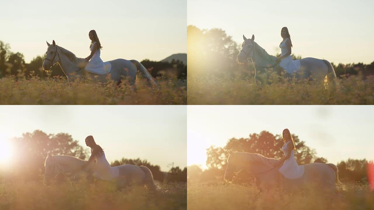近:美丽的女孩骑在没有缰绳在盛开的田野在日落