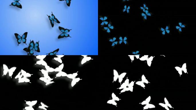 动画蝴蝶环-蓝色（带Alpha变体）