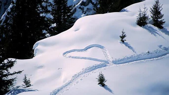 浪漫的冬季自然景观雪山树木全景