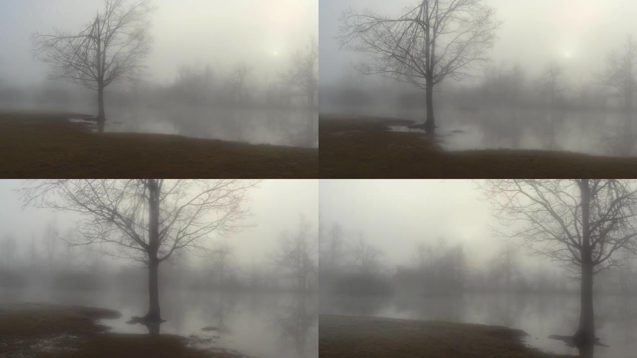 空中: 雾蒙蒙的冬天，草地被洪水淹没的可怕景象
