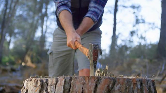 男性伐木工人在森林里用斧头砍柴4k