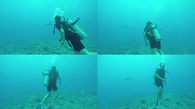 水下: 小男孩在岩石珊瑚礁上方与鲨鱼一起潜水和游泳