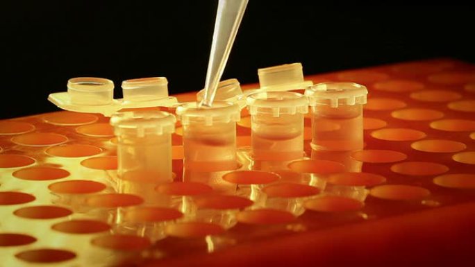 在实验室工作移液管