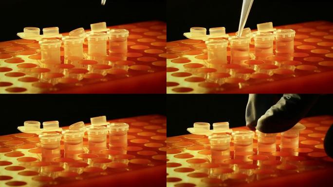 在实验室工作移液管