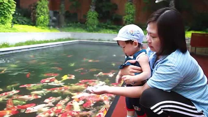 高清: 母子假日活动喂养锦鲤鱼。