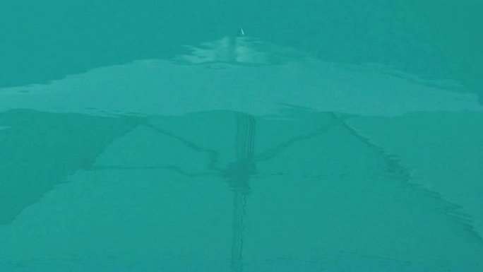 池水背景上大伞的倒影