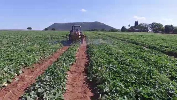 拖拉机喷洒杀虫剂蔬菜的鸟瞰图