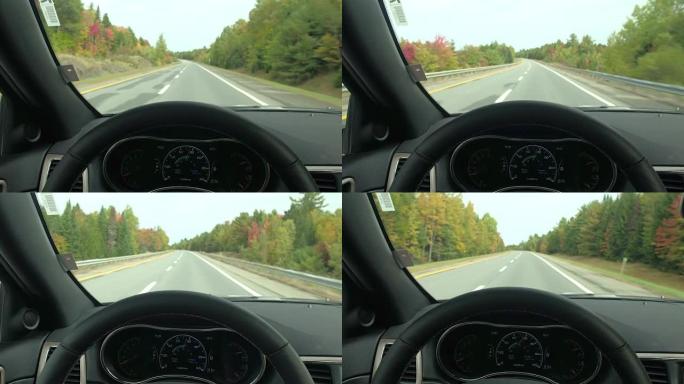 秋天，驾驶员的POV在空旷的高速公路上行驶，穿过华丽的彩色森林