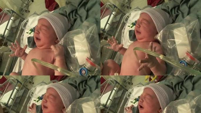 检查新生儿的健康状况