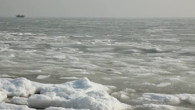 冬季海洋海洋污染被污染的海岸